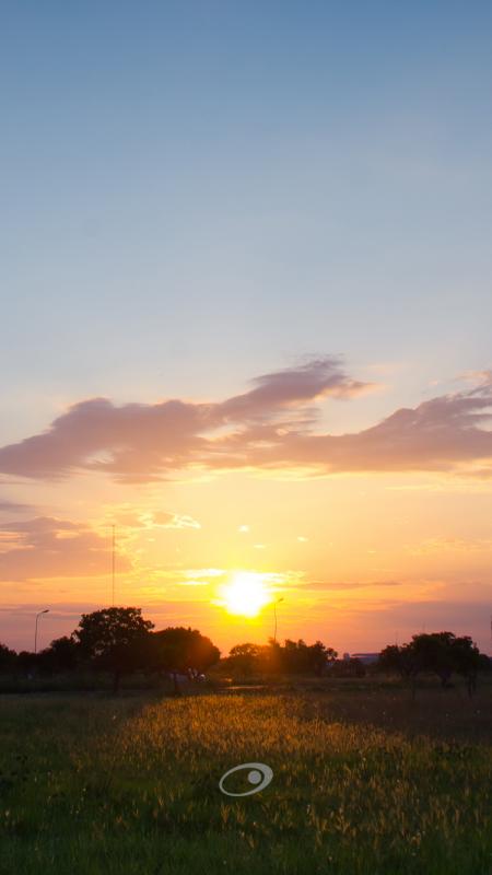 CameraPro_007.jpg