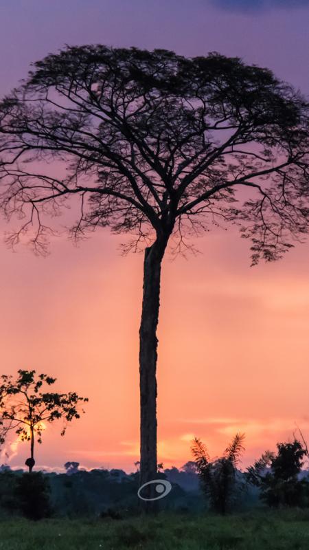 CameraPro_008.jpg