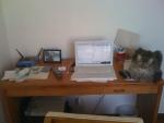 post-33-1215739378_thumb.jpg